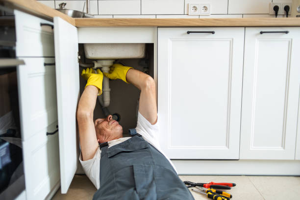 Best Commercial Plumbing Services  in Britton, SD